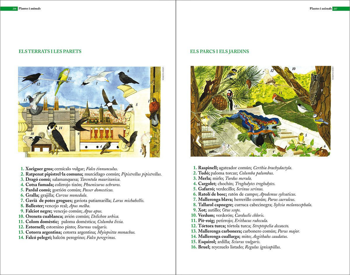 Sample page of Guia de natura de Barcelona Guia de natura de Barcelona sample page
